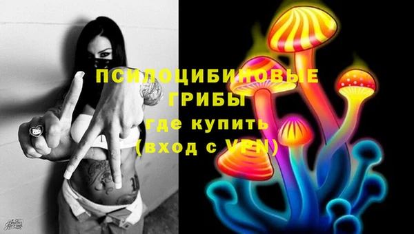 apvp Арсеньев