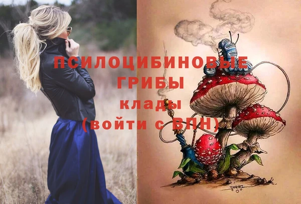 спиды Армянск