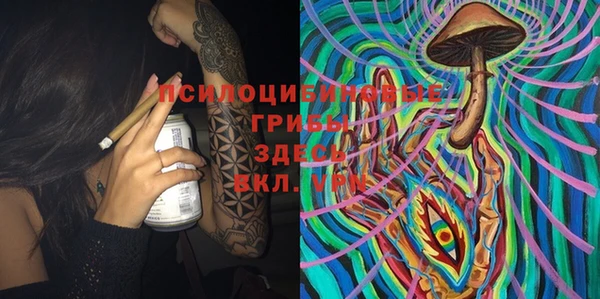 МДПВ Алзамай