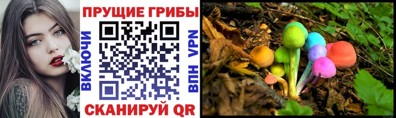 Псилоцибиновые грибы Psilocybine cubensis Пролетарск
